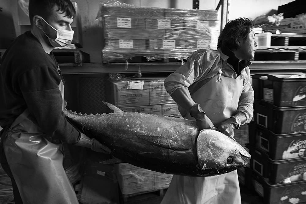Marito Ishii- The King of Fish Rob Palmer Photography